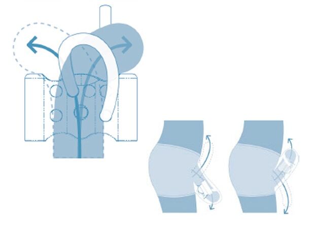 sistema reproductivo adolescente