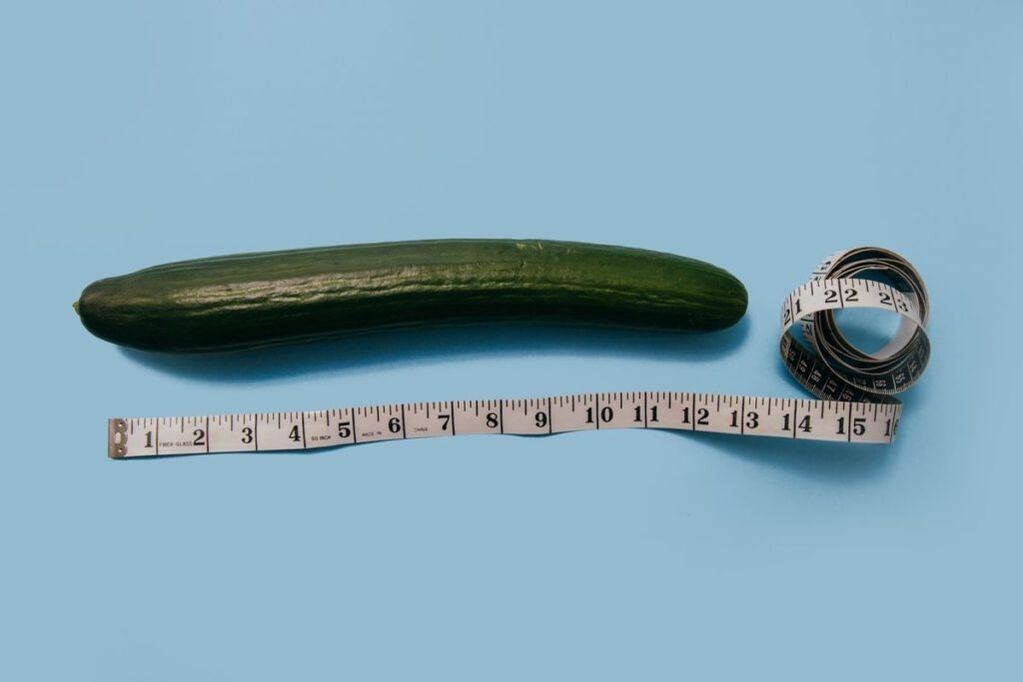 Medición del tamaño del pene utilizando el ejemplo de un pepino